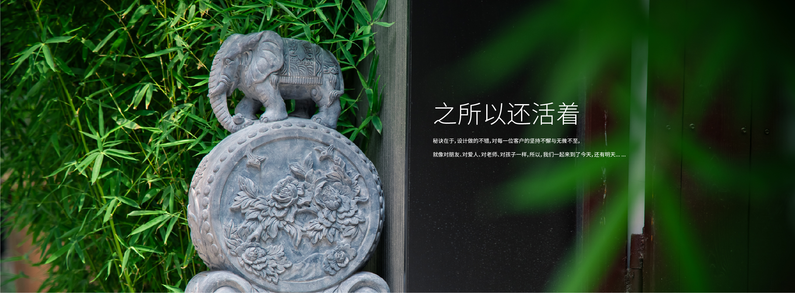 瞰晟广告客户合作案例展示