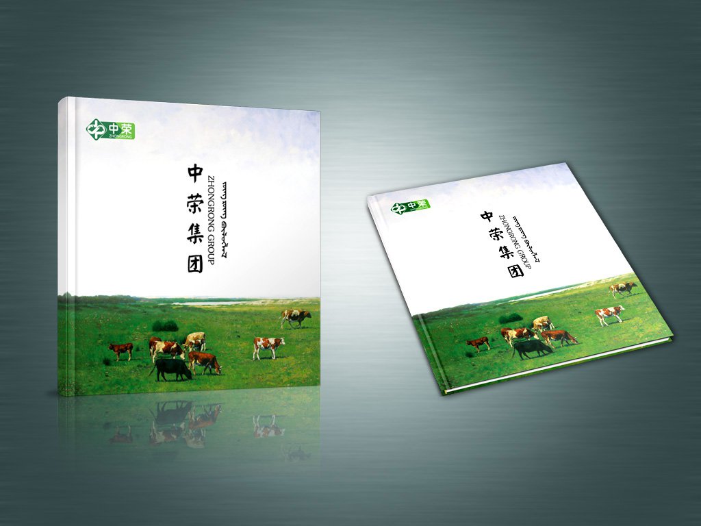 中荣集团画册设计-瞰晟广告